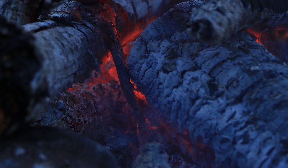 Using a Map and Compass in Dense Forest