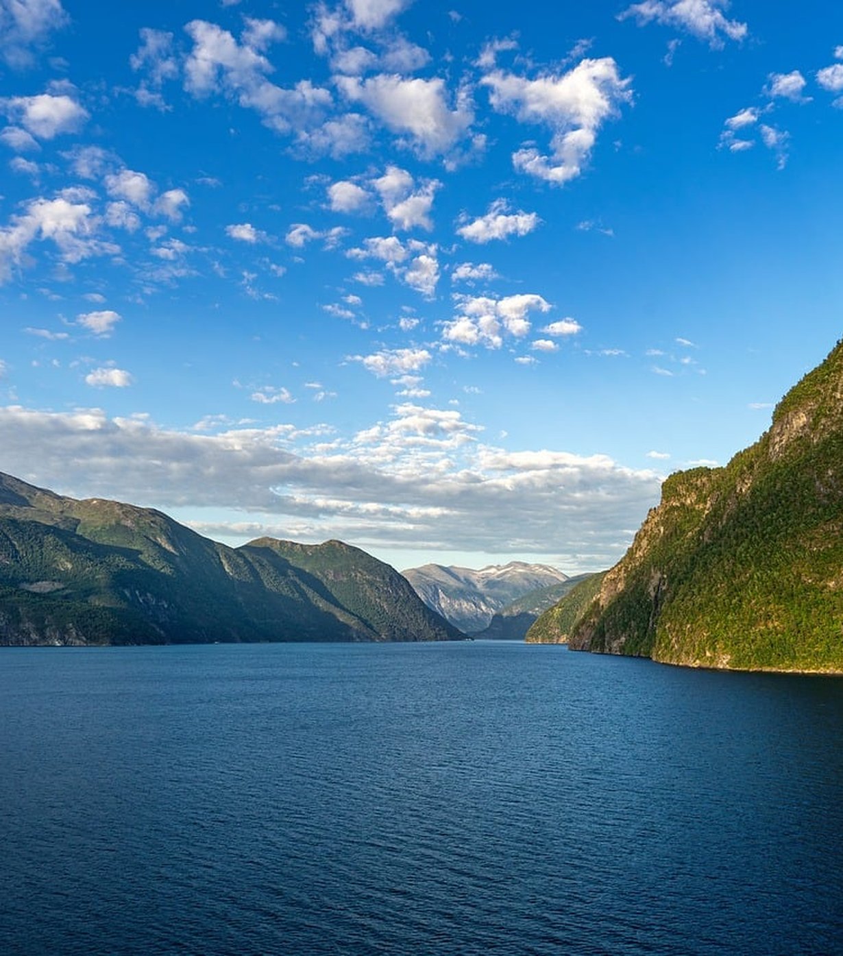 Fjord Copse